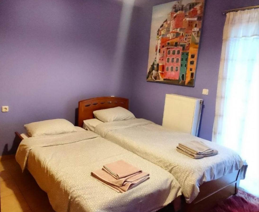 Secret Garden 76 Sq.M. Apartment Close To City Center Ioannina Luaran gambar