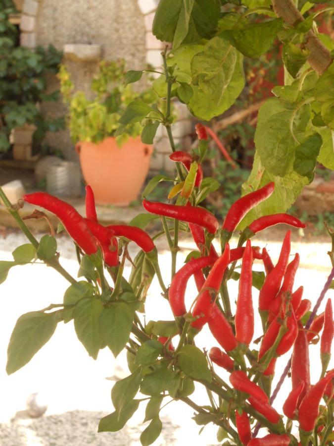 Secret Garden 76 Sq.M. Apartment Close To City Center Ioannina Luaran gambar